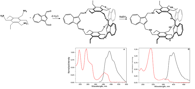 azmetca project progress 6
